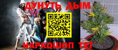 крисы Азнакаево